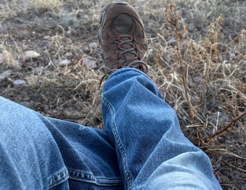 Climate Inaction is Wisdom